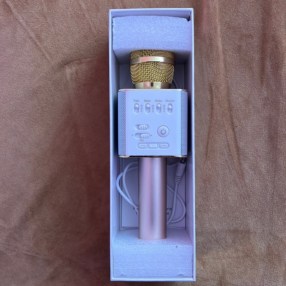 BT Karaoke Artifact Microphone